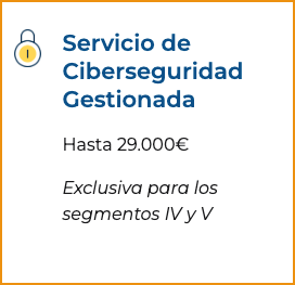 Soluciones Digitales Miniaturas 13